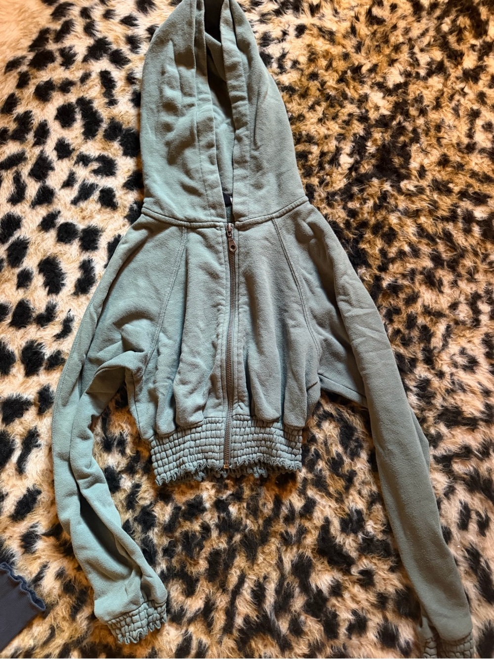 Urban Outfitters Sage Green Cropped Hoodie